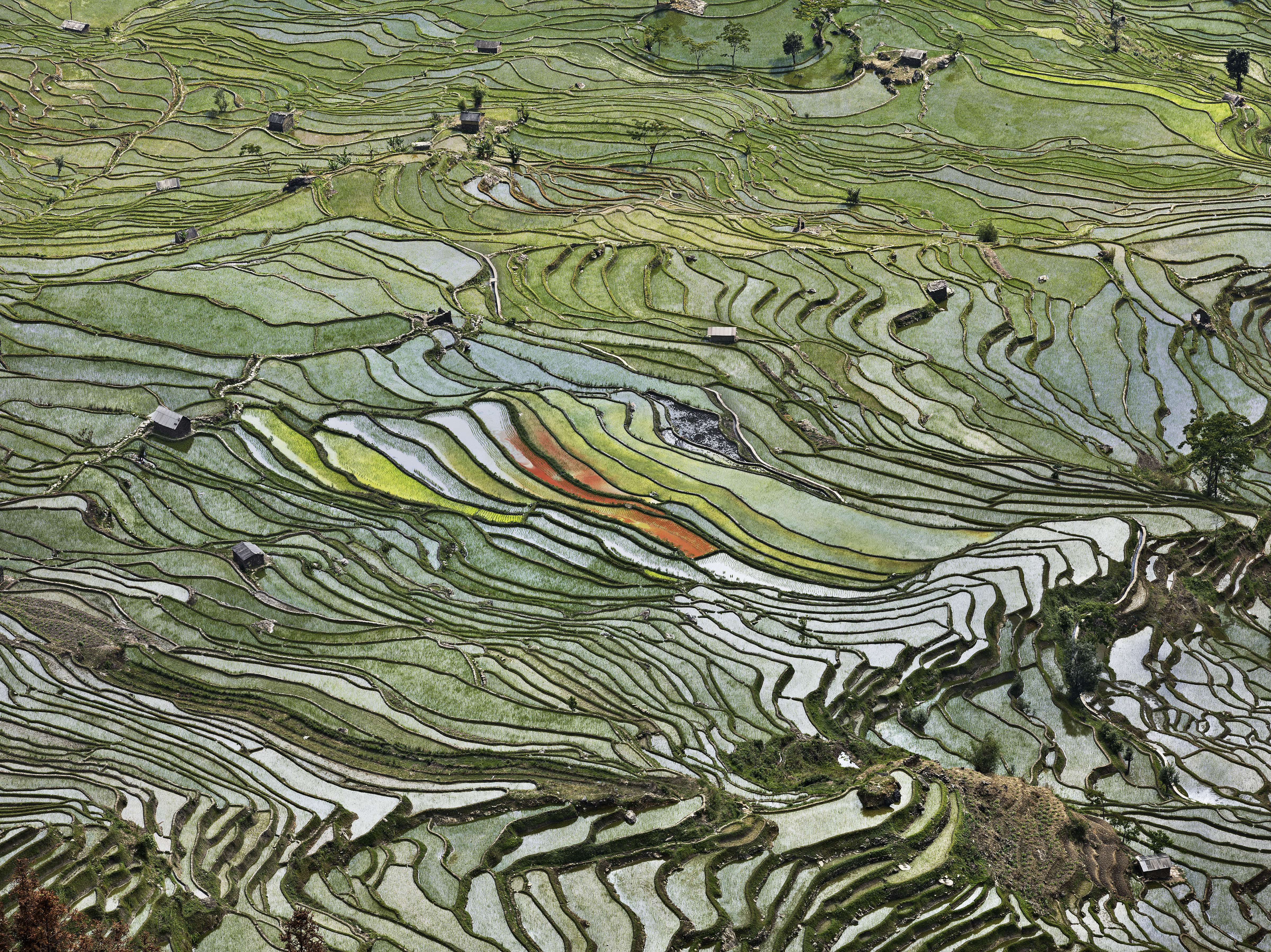 edward-burtynsky-water-new-orleans-museum-art-cina