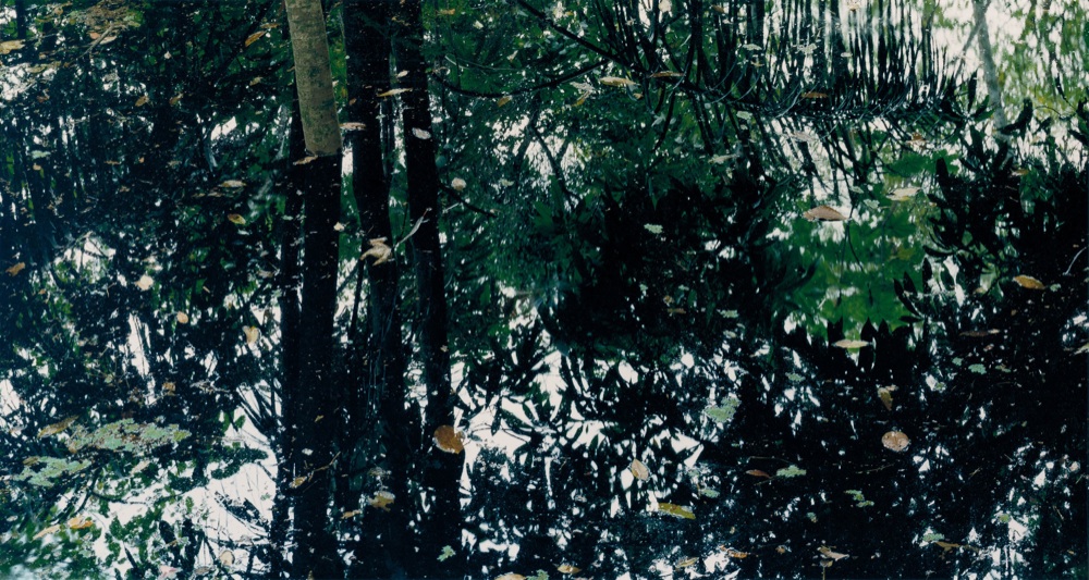 RioNegro-4_98