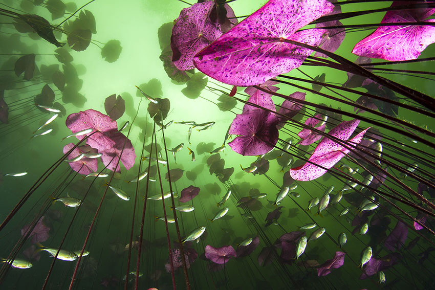 Christian Vizl, Uno scorcio visto dal basso