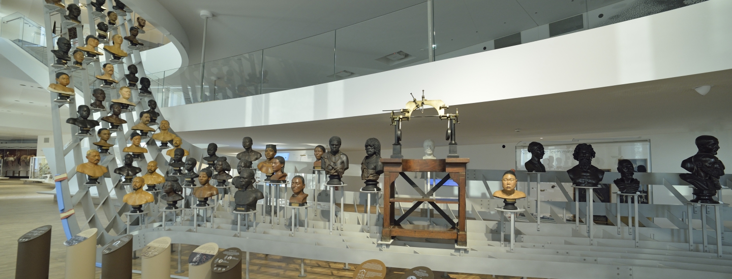 La Galerie de l’Homme