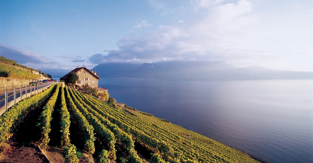 Lavaux