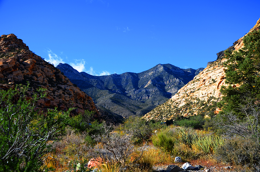 Red Rock Canyon