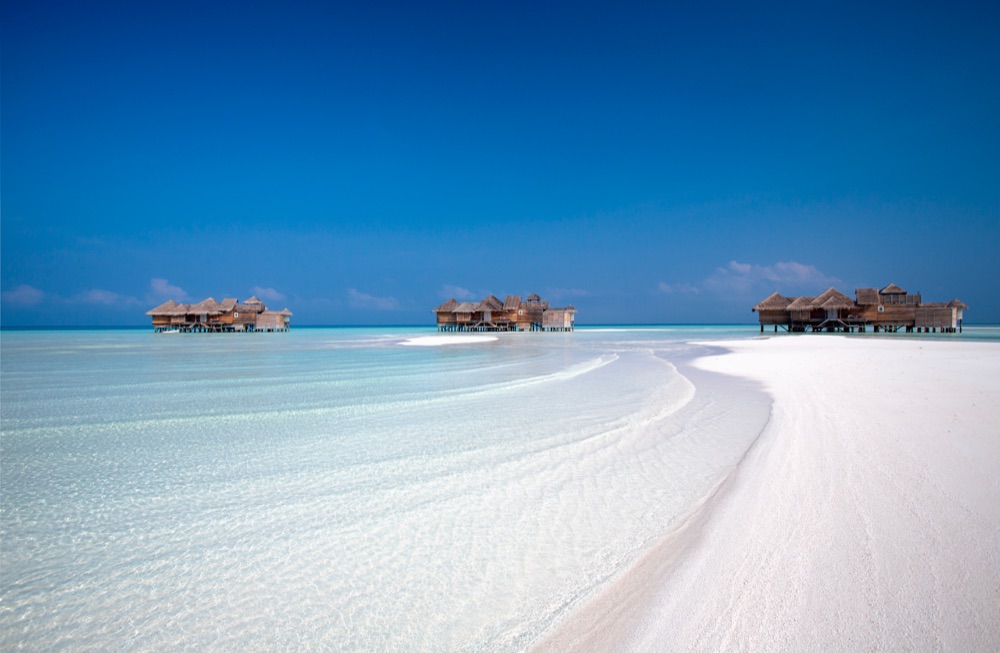 MALDIVE