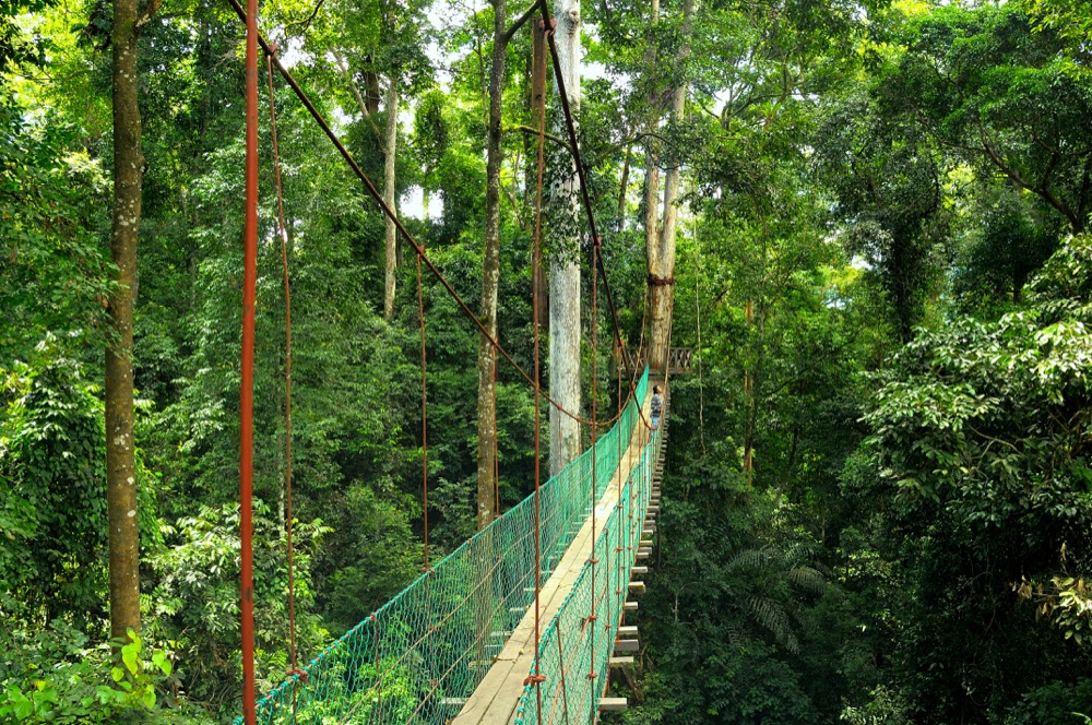 MALIAU BASIN - SABAH