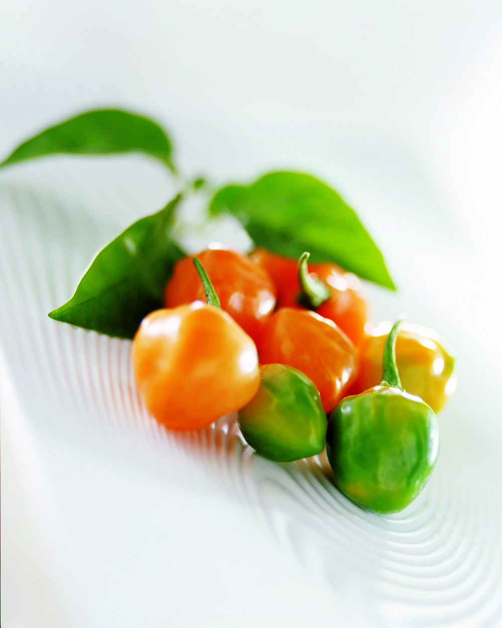 peperoncino_brasilian_rocotillo