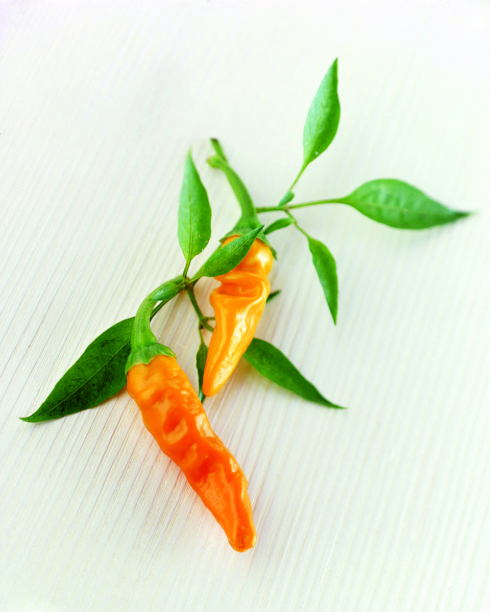 peperoncino_yellow_spike