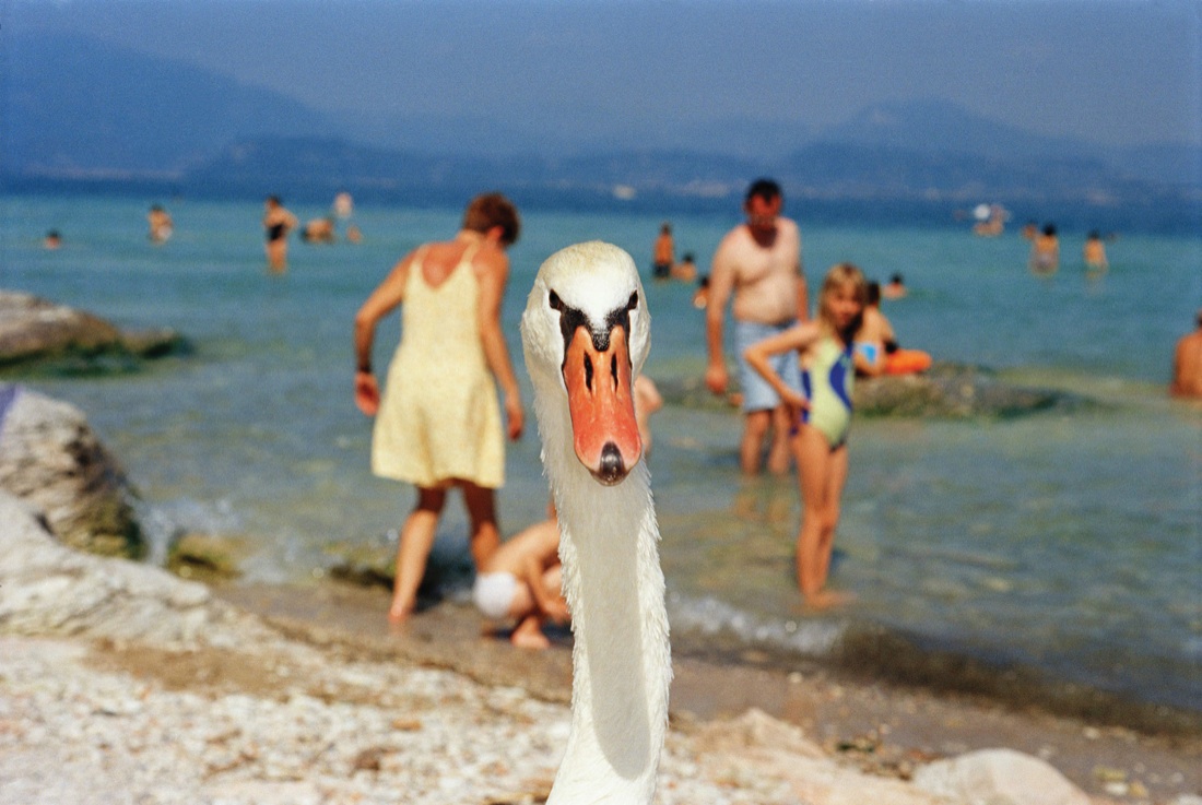 MArtin Parr