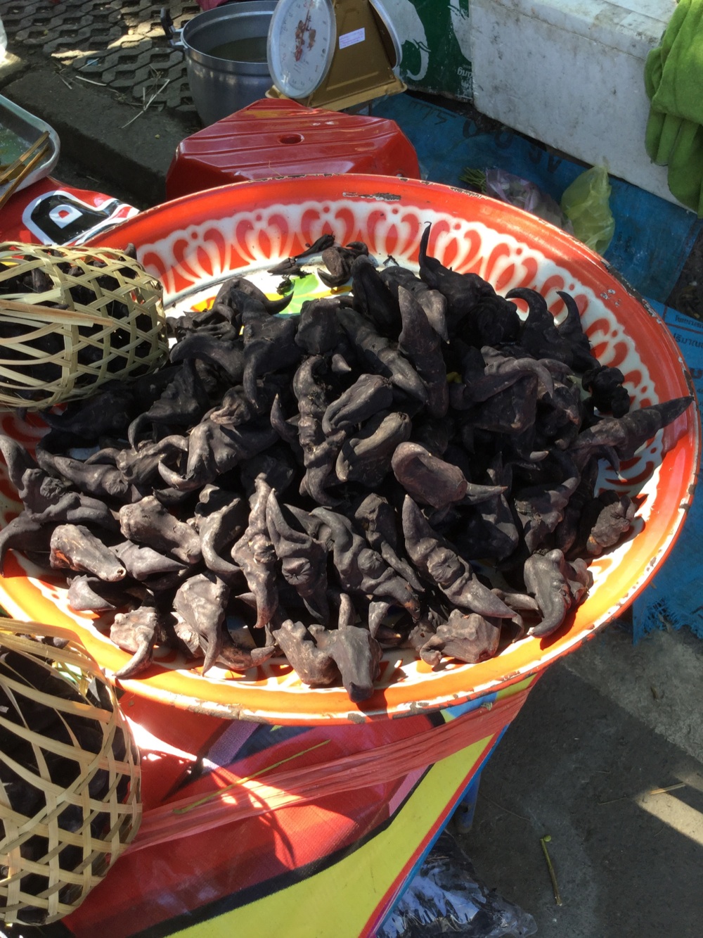 Thailandia-Paolo-Griffa-Castagne-d'acqua