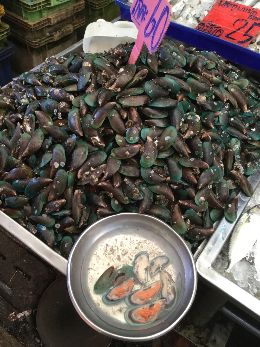 Thailandia-Maeklong-Railway-Market-cozze-verdi