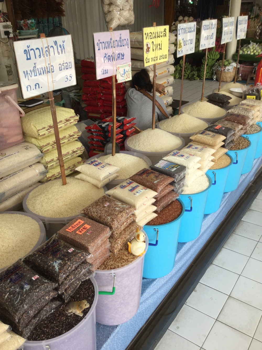 Bangkok-Or-Tor-Kor-Market