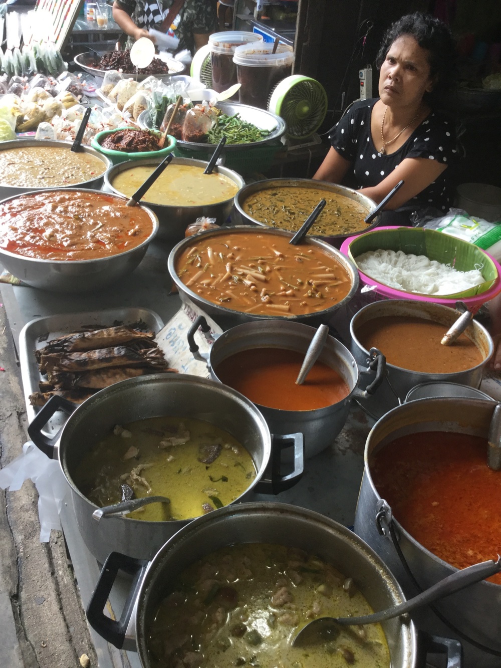 curry di carne e pesce- Sam Chuk Market