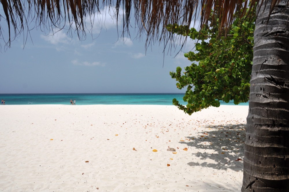 eagle beach isola di aruba