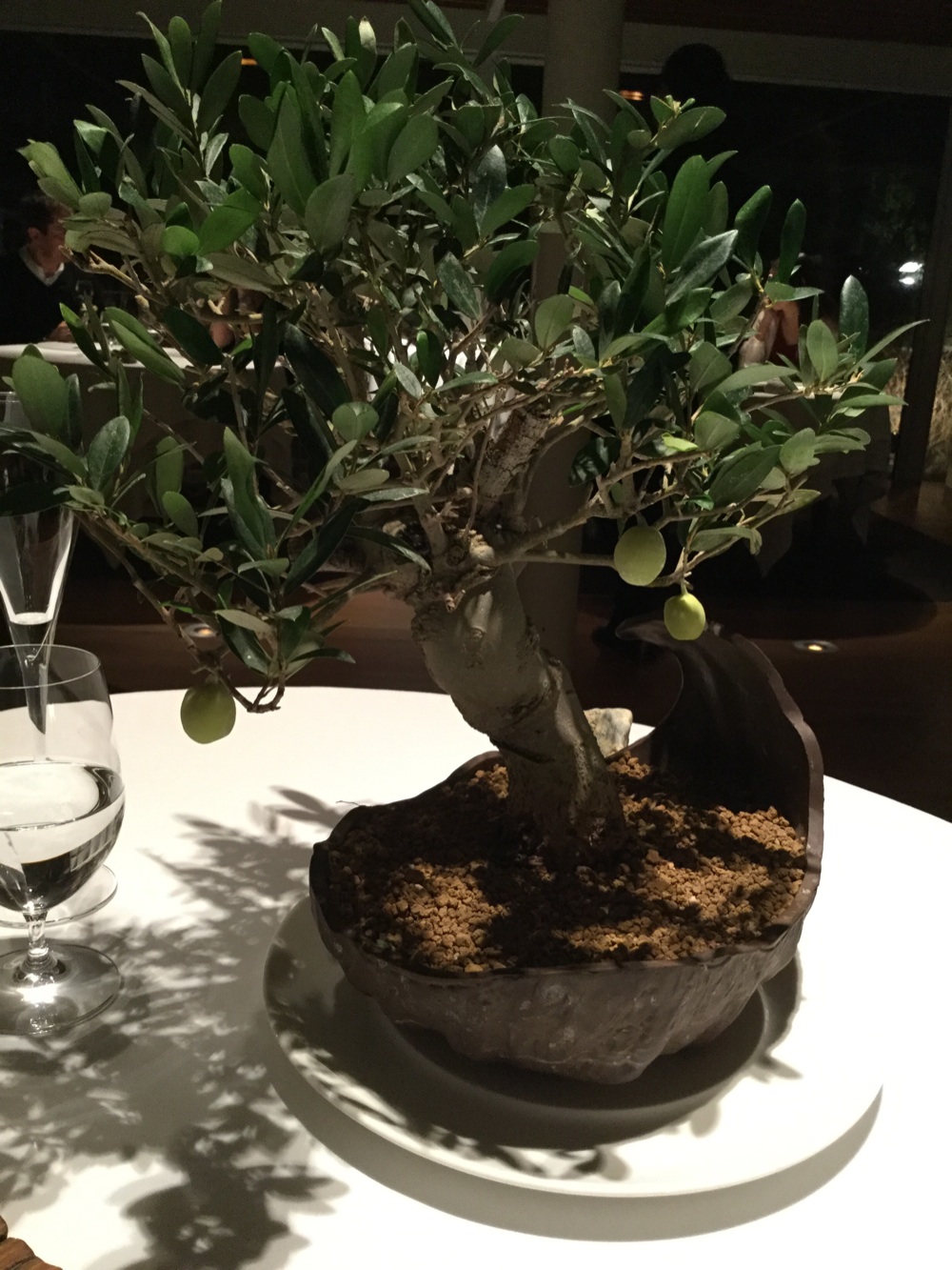 El-Celler-de-Can-Roca-bonsai-olive