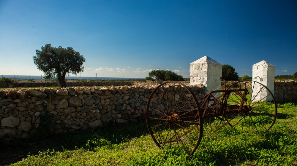 Masseria La Scalella - Carrello