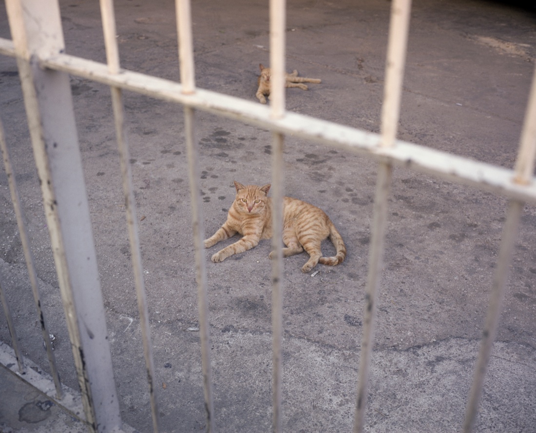 Jeroen Robert Kramer