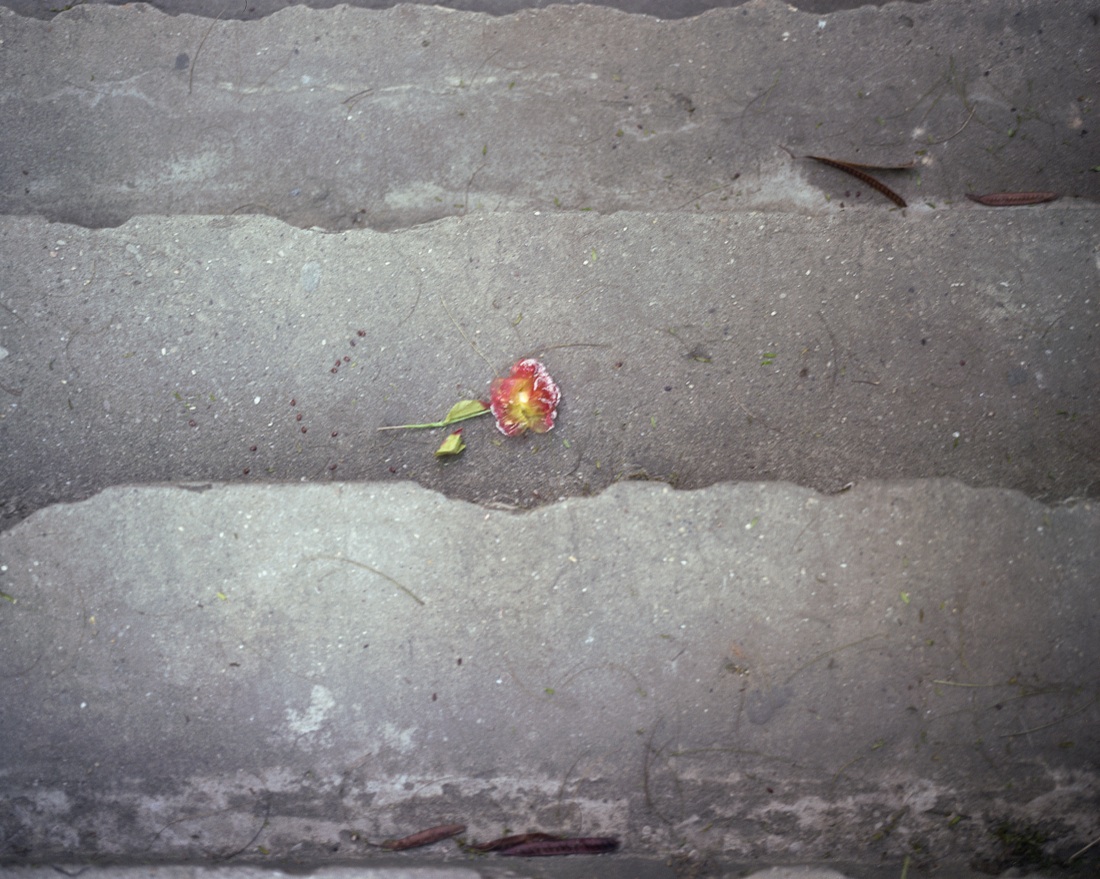 Jeroen Robert Kramer