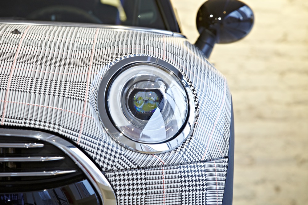 mini-principe-galles