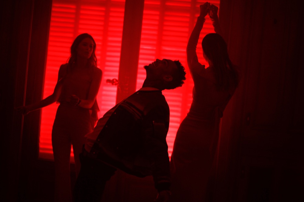 D. Kroes & C. Brown & K. Kloss