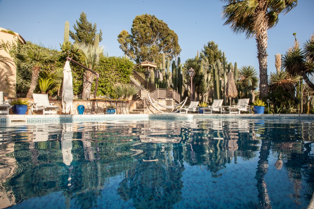 Garden Cactus B&B - Piscina giorno_2