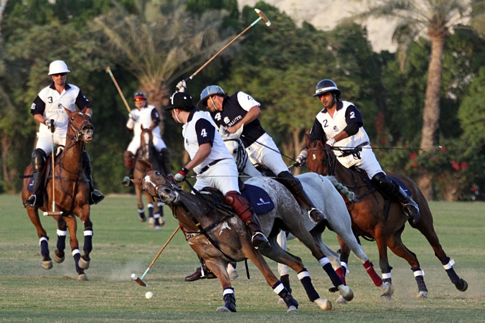 partita di polo