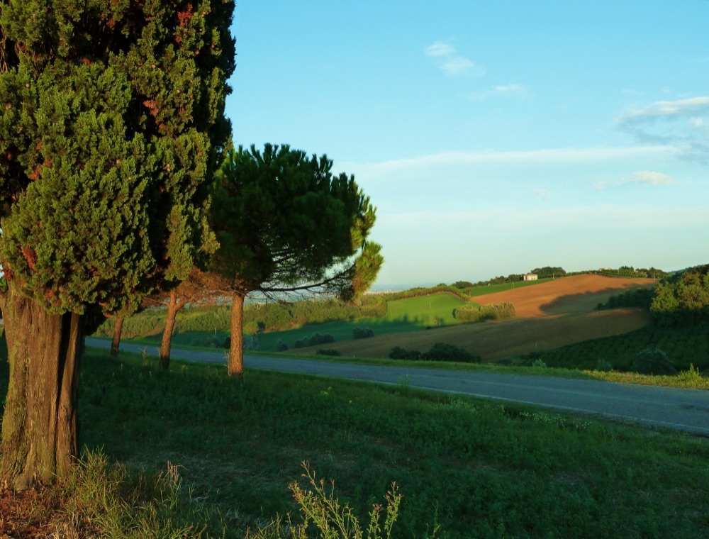 vespa-tour-colline
