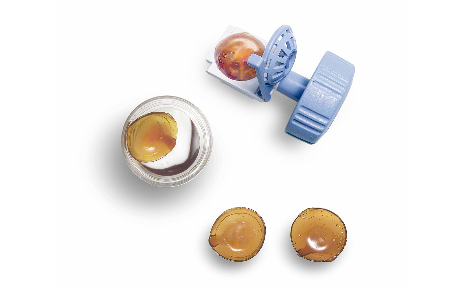 piatto, Cracco, mostra