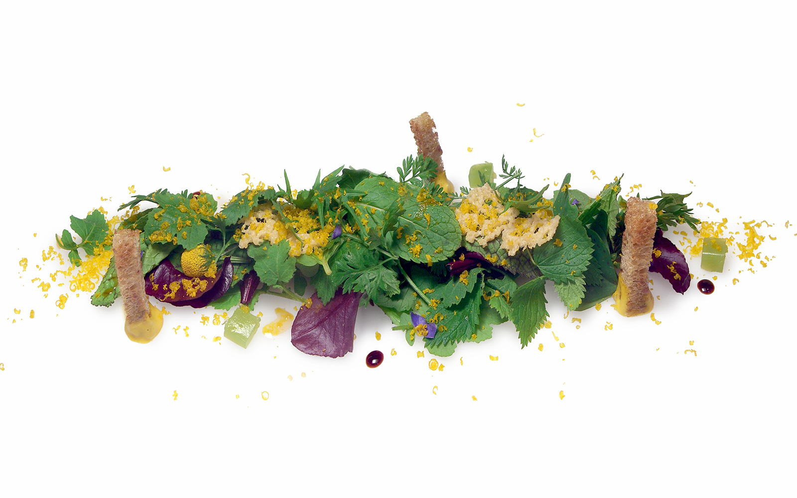 piatto, Bottura, mostra