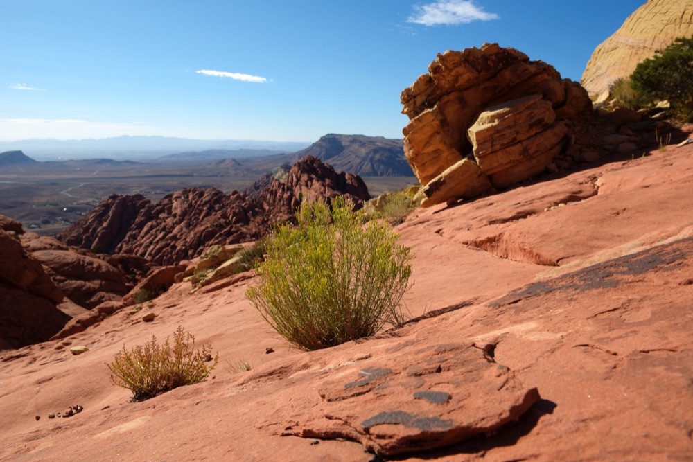 Red Rock Canyon