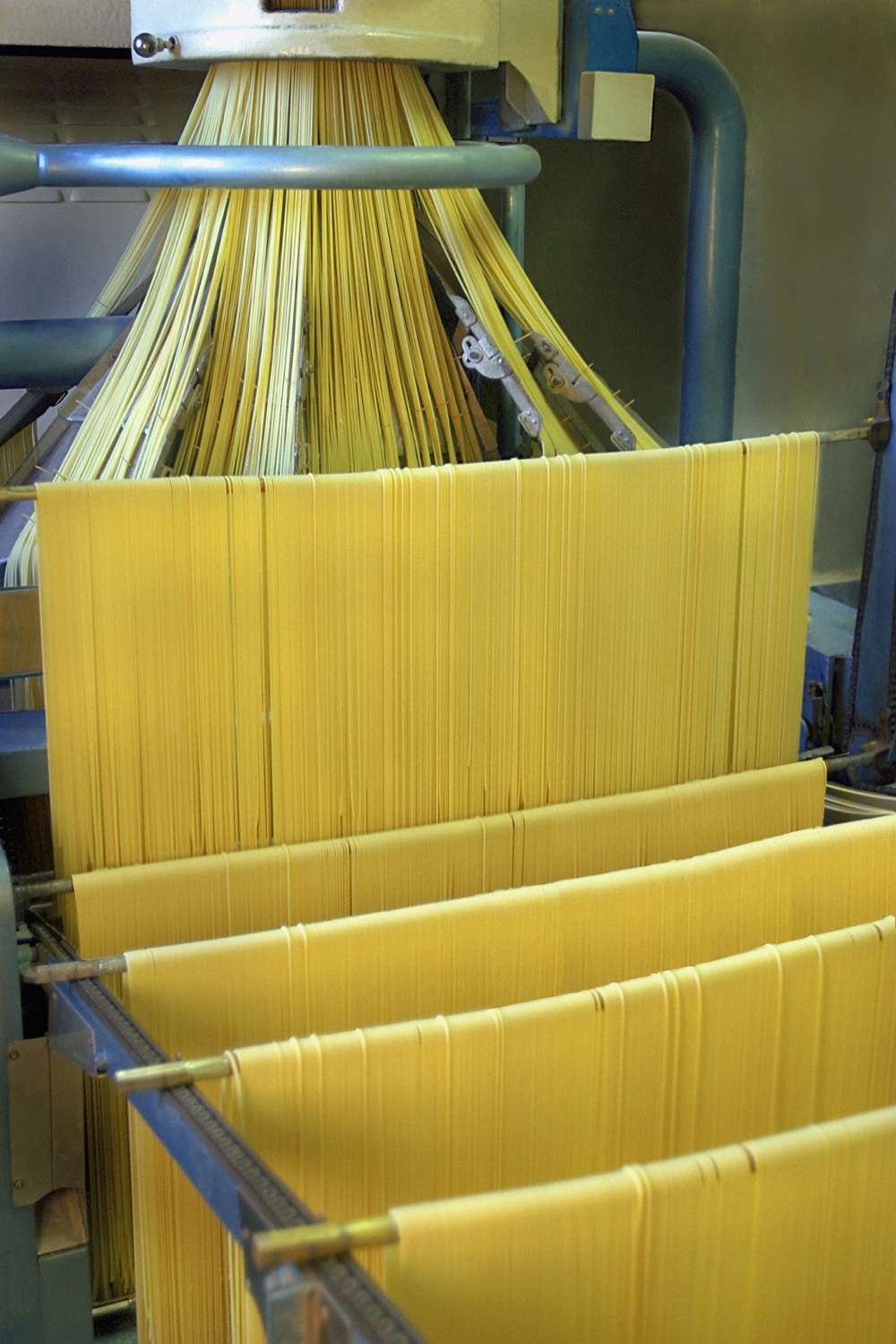 Cavalieri-pasta-lavorazione