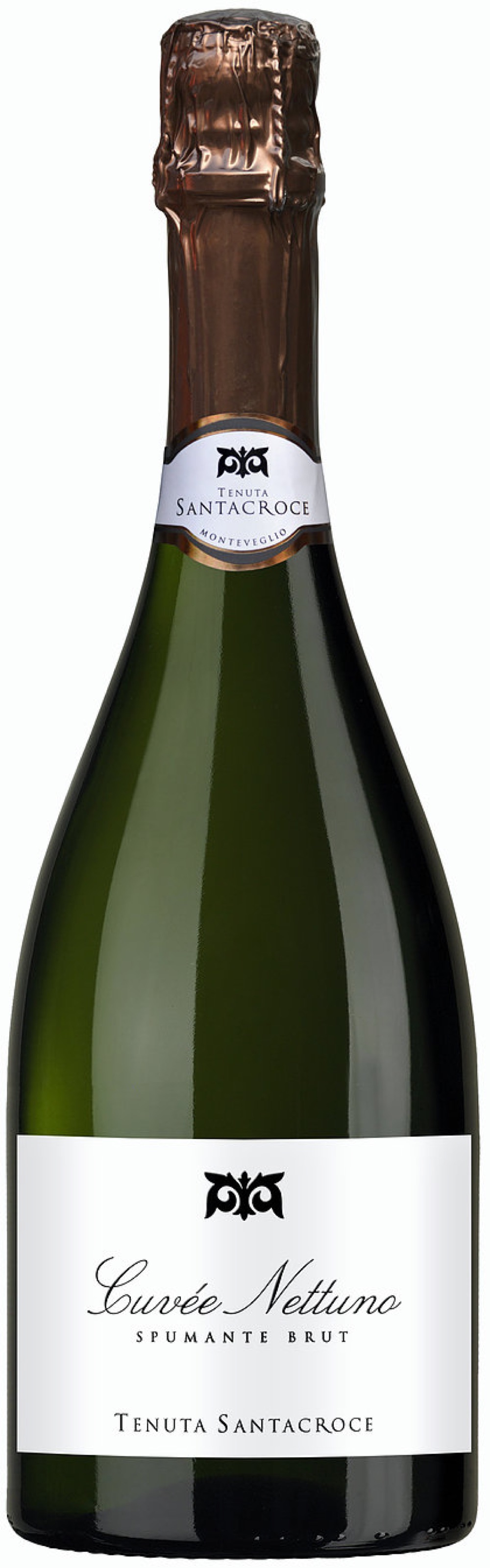 dizionario-vino-chiarli-bianco dizionario-vino-chiarli-bianco