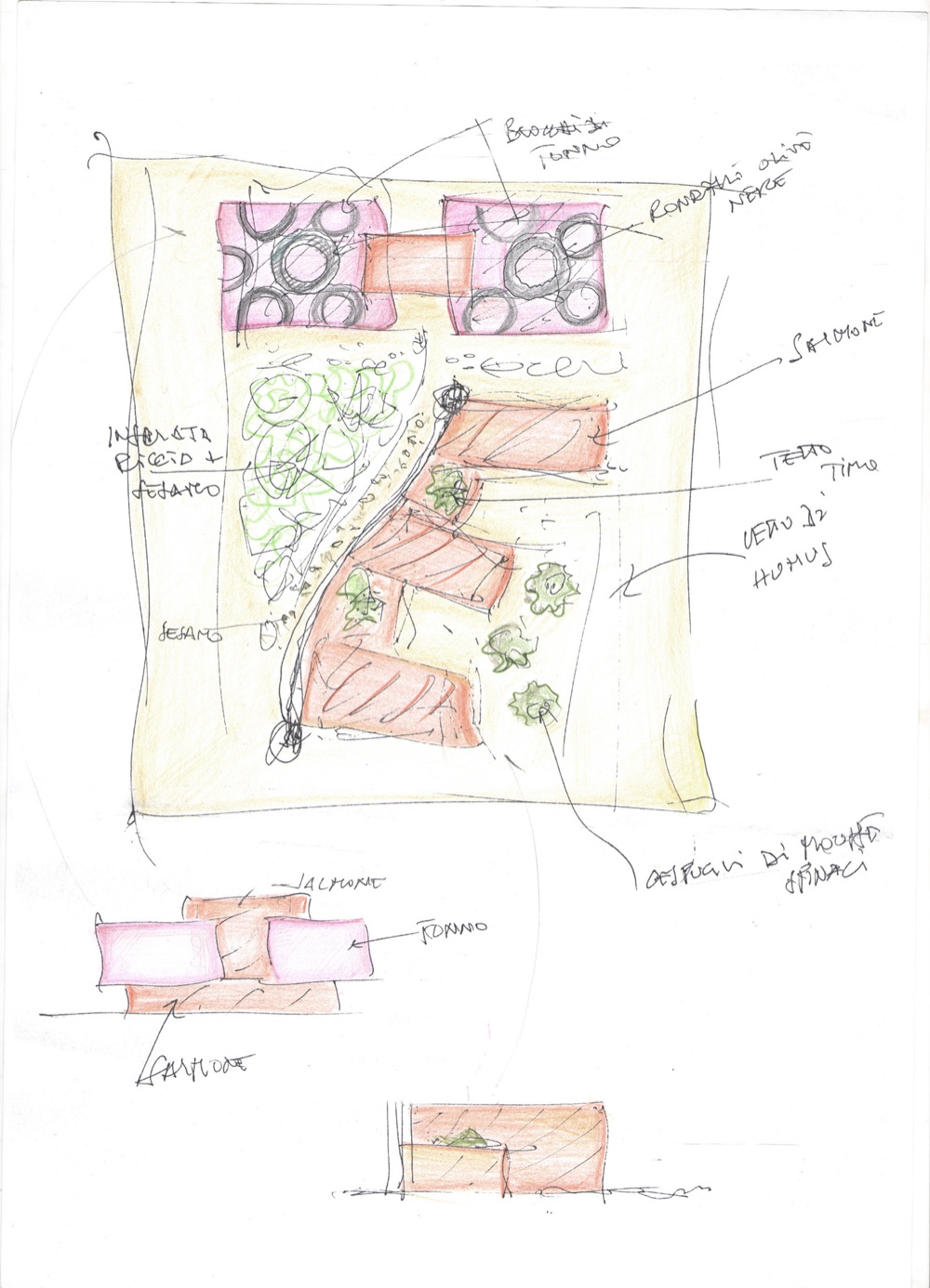 03_disegno_Mediterranean Sashimi_Lorenzo Bellini Associates