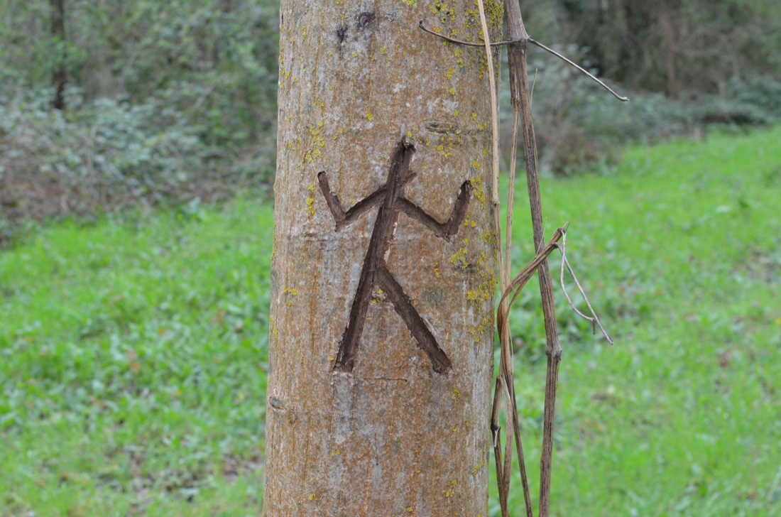 Yona Friedman e Jean-Baptiste Decavèle