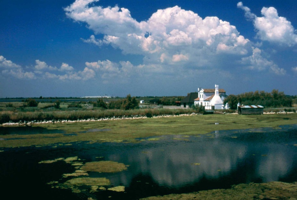 Ente-Parco-Delta-del-Po