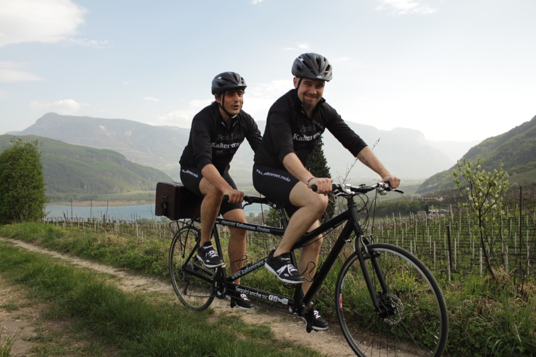 vino-enologi-kalterersee