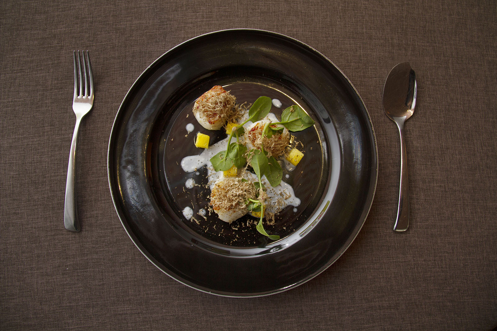 delivery, Magorabin, Fanceat