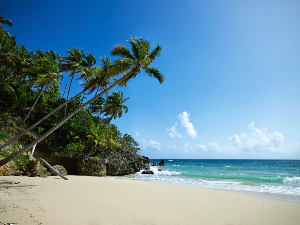 Amanera-playa-grande