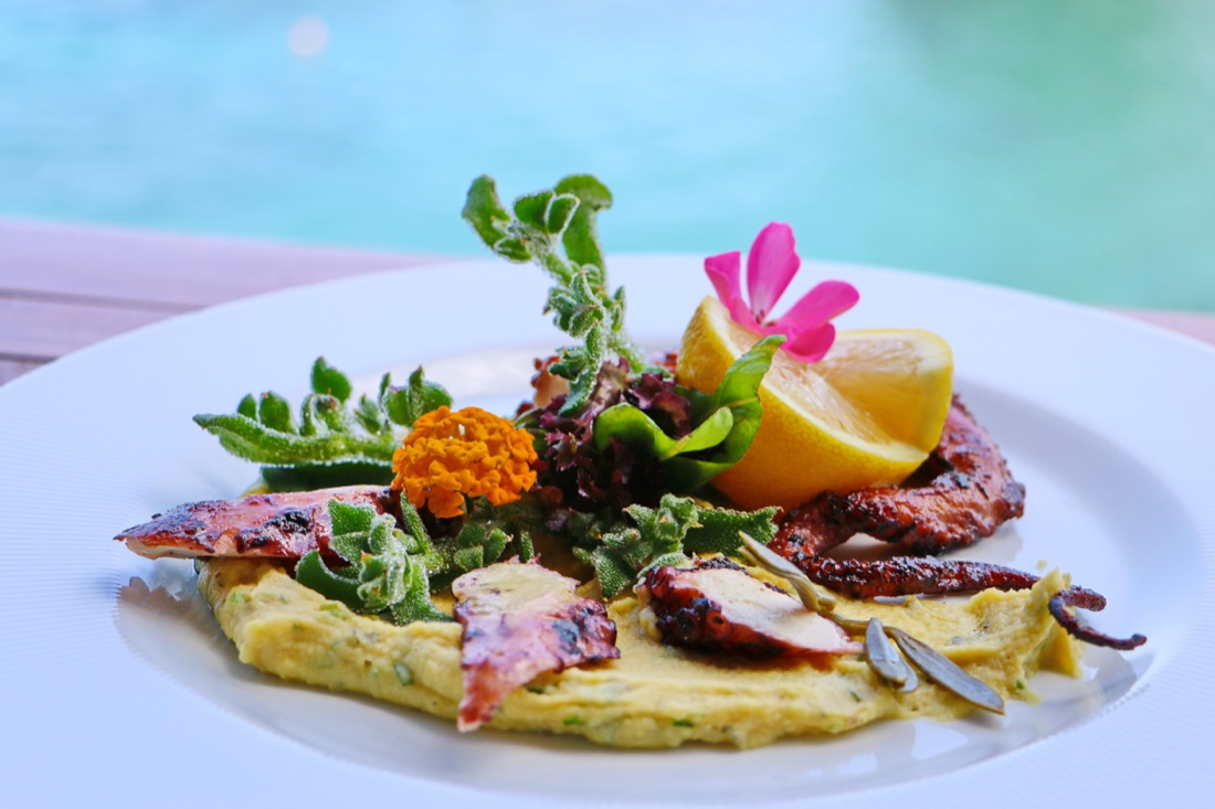 ricetta-Polpo-grigliato-humus