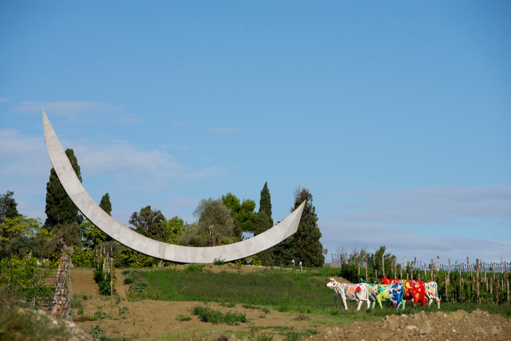Vino Sangiovese Tenuta Mara