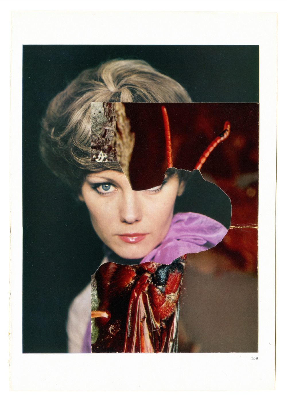 festival fotografia arles