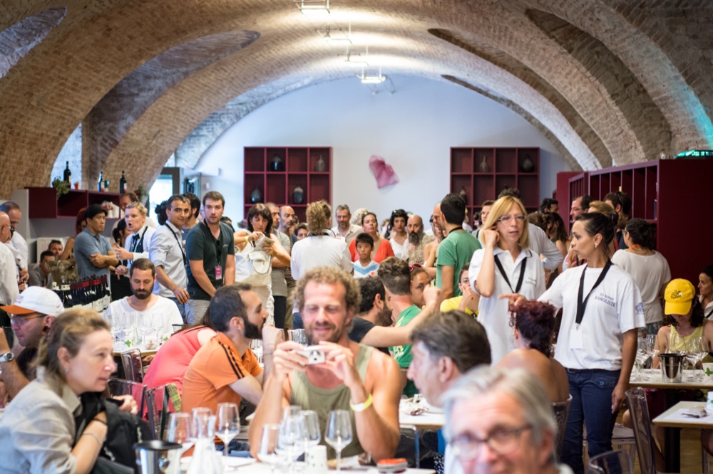 Collisioni - Progetto vino