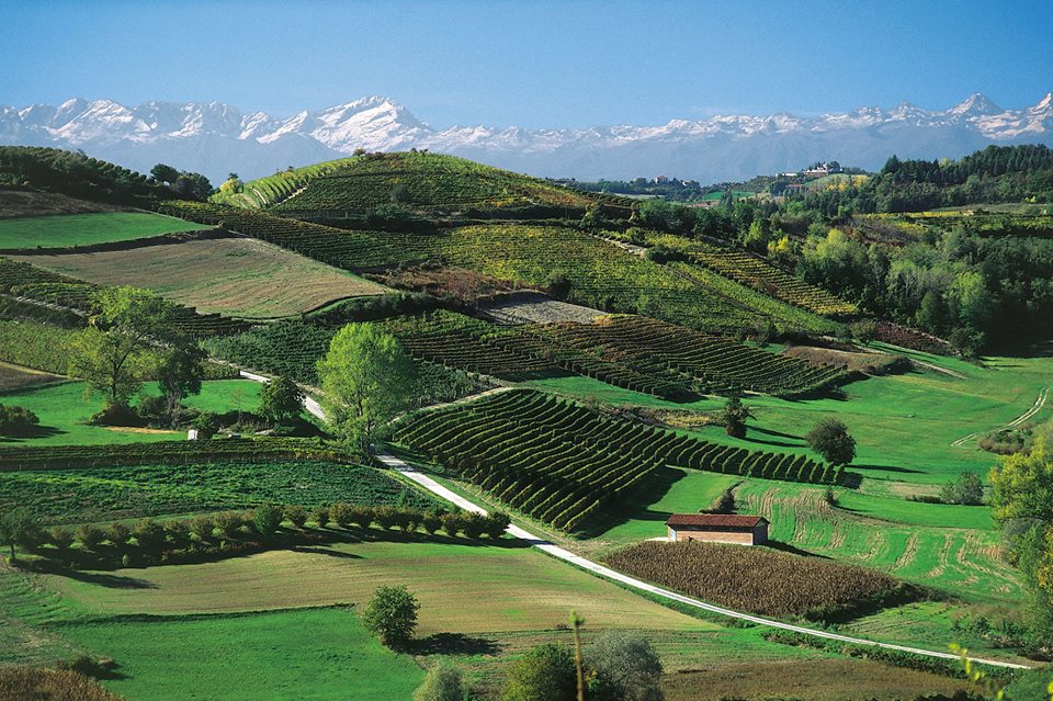 Colline di Langa