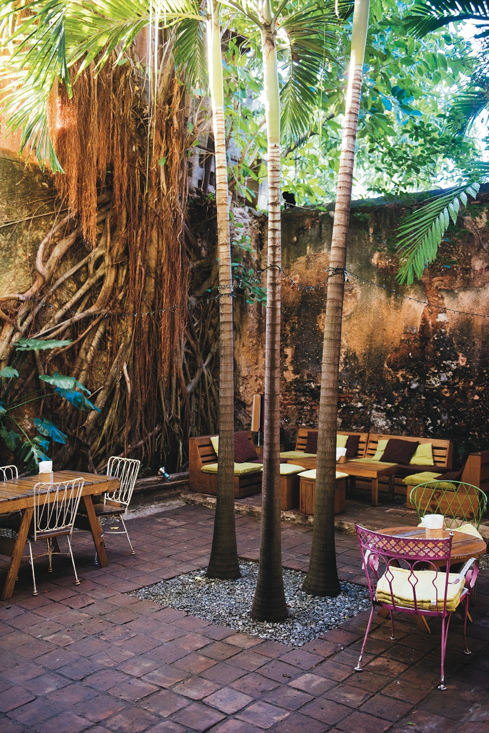 LaAlpargateria_ambiente