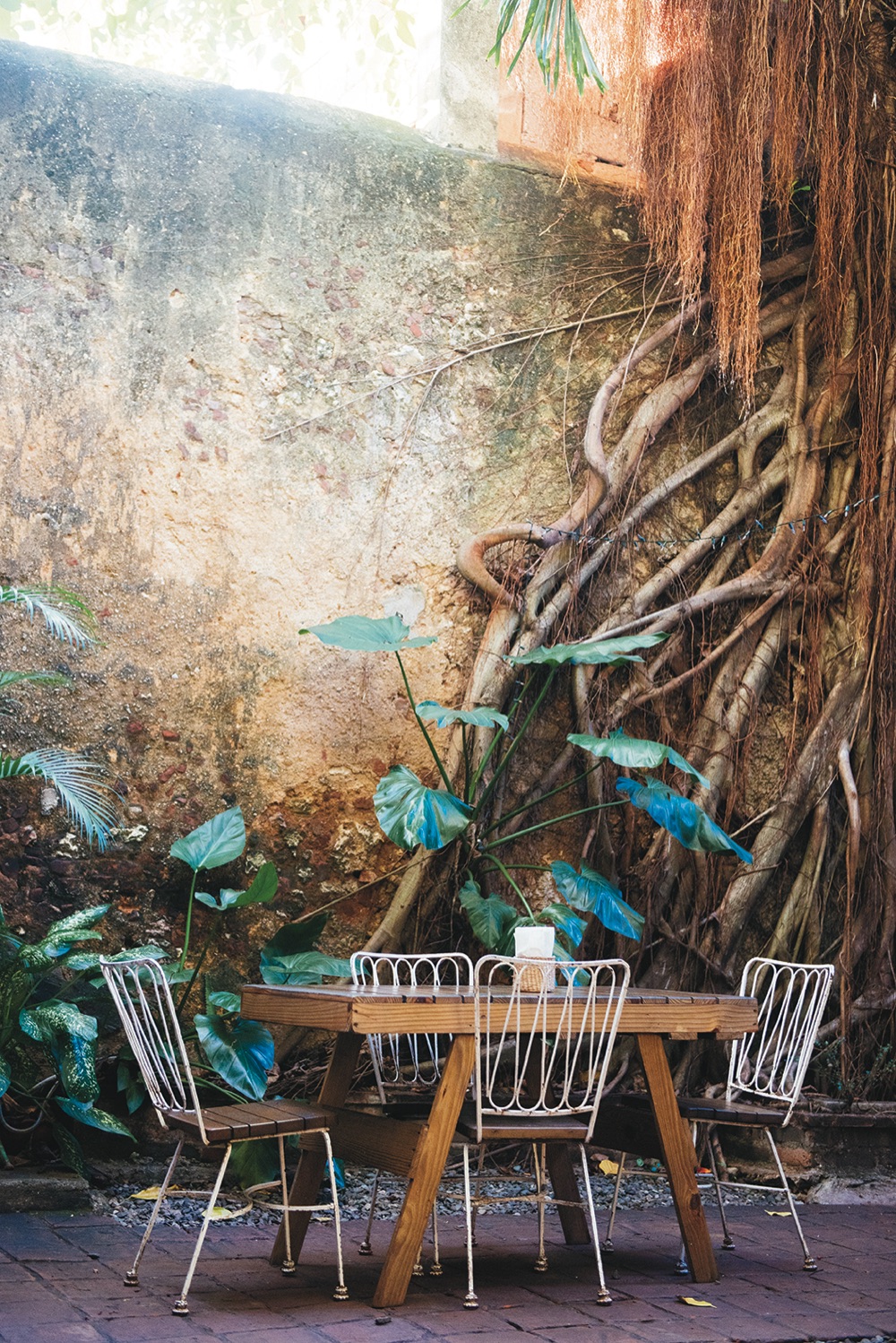 LaAlpargateria_santodomingo