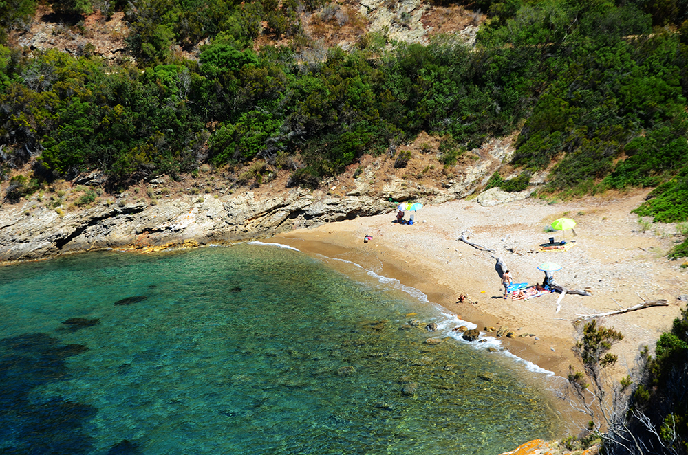 Tra Cala Nova e Capo Calvo
