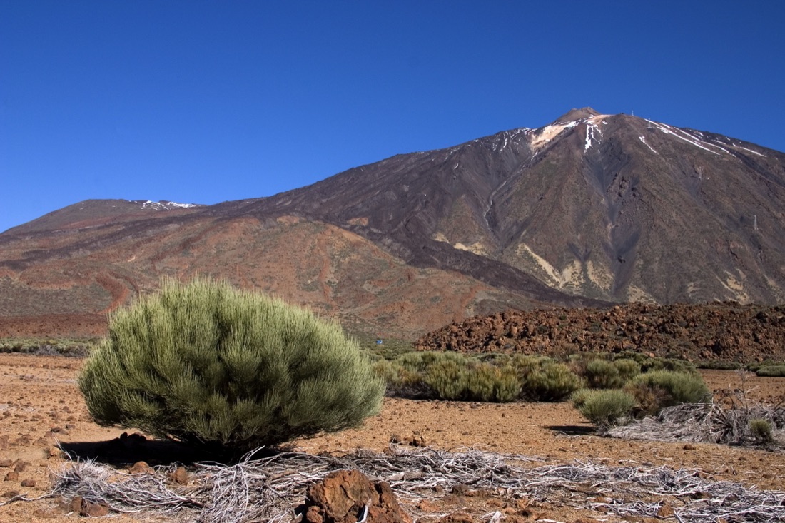 parco-nazionale-teide-tenerife