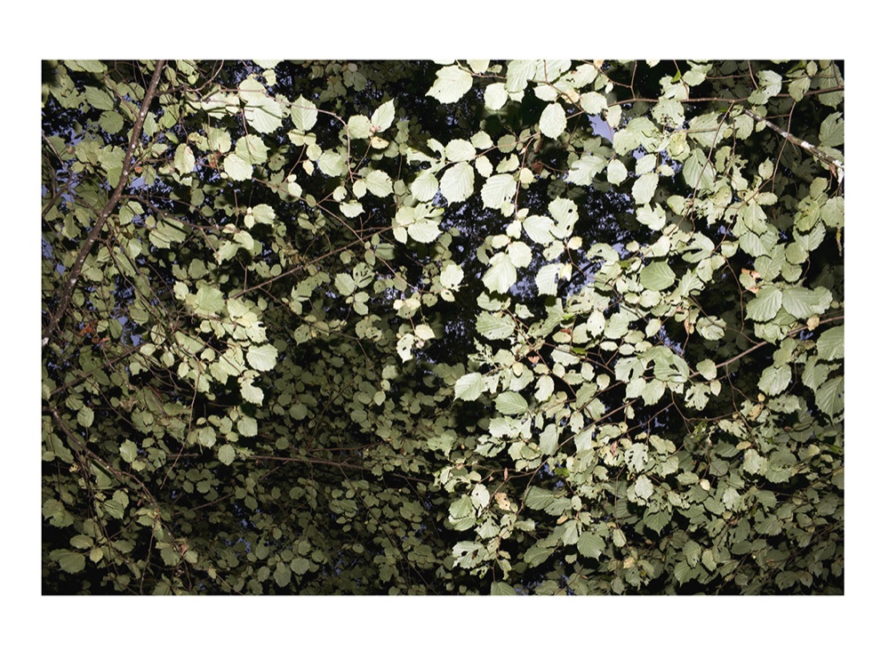 festival fotografia gibellina