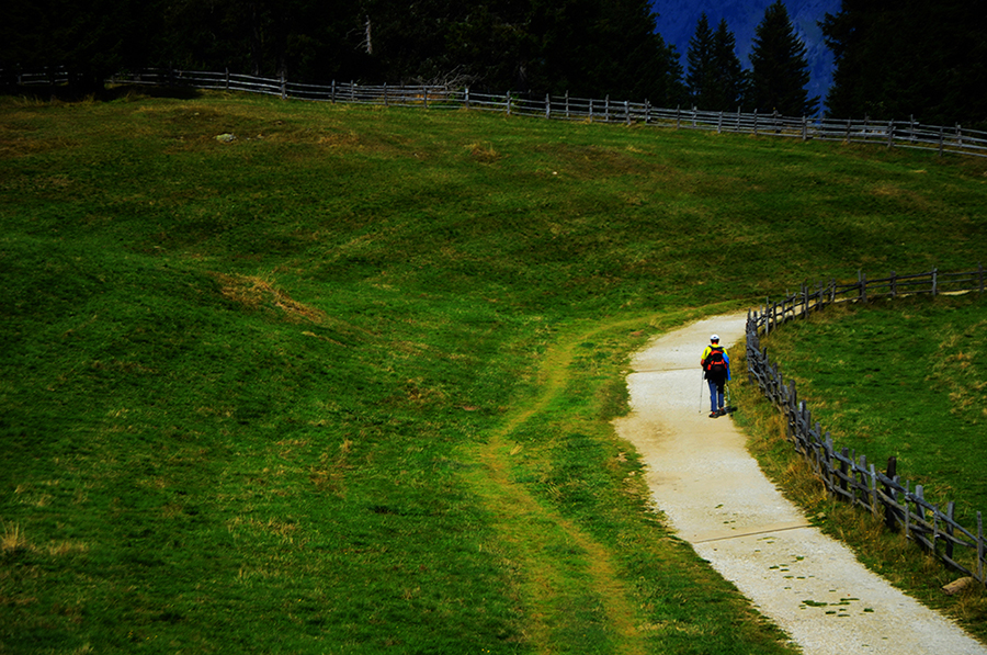 Escursioni in altura