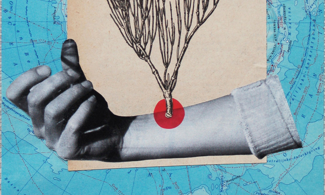 Emma-Dajska-MAP-Zones-Sensibles