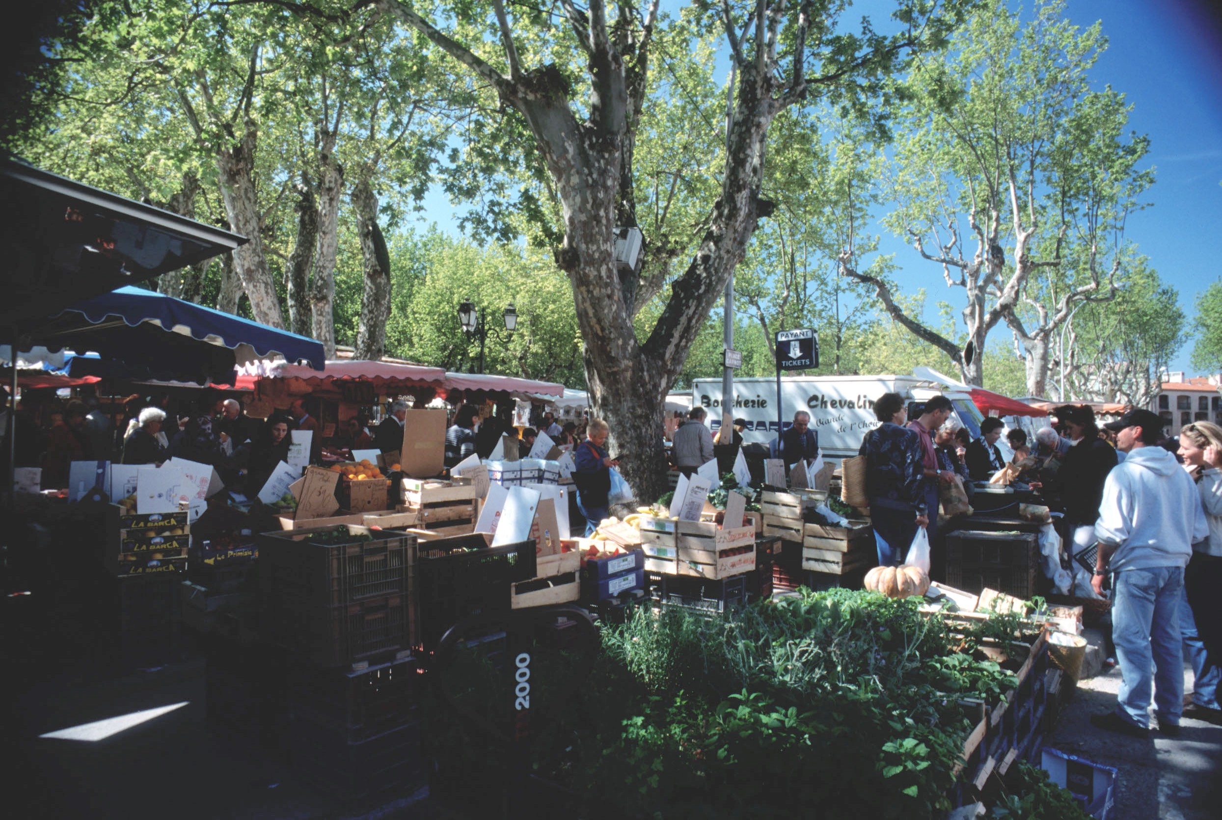 Mercato di place des Lices