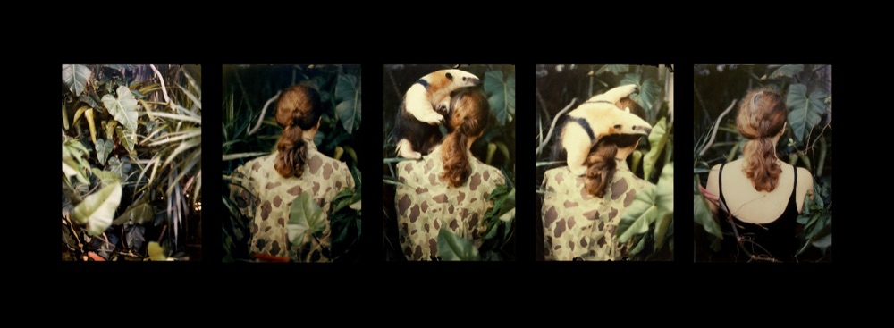 BttF_Galeria Aural_A_GEIGER_Camouflage_2365